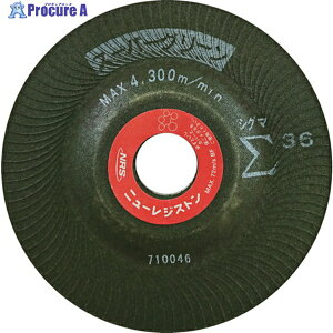 NRS ����u�� �X�[�p�[�O���[����(�V�O�})36 125×5×22 #36 SGS1255-36 25�� ��451-8381