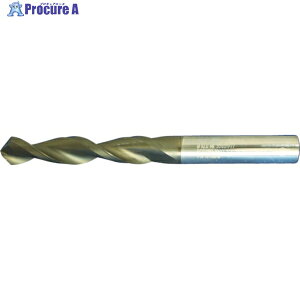 MAPAL MEGA-Drill-Composite(SCD250)OX5D SCD250-0300-2-2-090HA05-HC619 1{ 490-9135