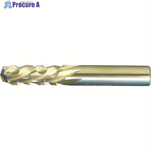 MAPAL ���d���t�B���O�G���h�~�� OptiMill-Composite(SCM430) �����ޗp���[�^�[ �n�a6×�n��19×�S��60mm SCM430-0600ZGVR-HA-HU211 1�{ ��491-0435