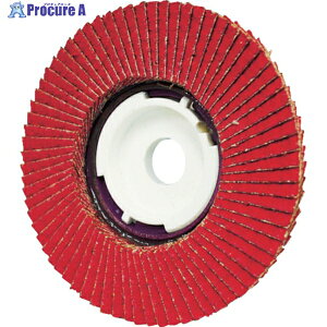 iZ SGjTOP 100mm Z~bN#60 SG-TOPS4 10 491-9271