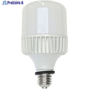 �Z�t�e�B�[ �L�����g���C�gLEAD �H���pLED�d�� ����E39 100/200V���p ���O�p �o���X�g���X���ⓔ500W���� SH40-TL-TR 1�{ ��566-5207