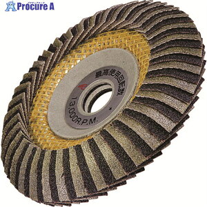 AC X[p[_CRrl[V}ChfBXN 100X15 #100 SDCD-M10015-100 1 806-3618