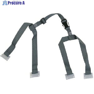 ~hS RASRZbgAJ^Cvp SC-1BNP-2 1g 811-1268