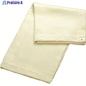 TRUSCO Xpb^V[gS[h 4 1700X1920 SPS-4G (1700MMX1920MM) 1 121-0271