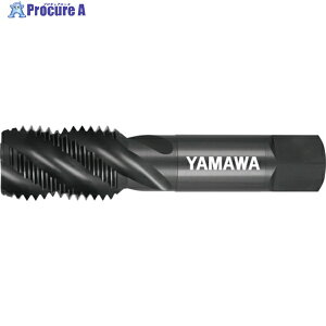 ���}�� �_�������X�p�C�����^�b�v SP OX P3 M30X1.5 SP-OX-P3-M30X1.5 1�{ ��215-6612 ��MA515