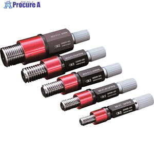 AC[ EFC˂vOQ[W SPO GPIP2 ʂ~(p) M10X1.25 SPO-M10P1.25-GPIP2 1{ 248-0451