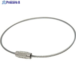 jbT`FC XeXL[C[(100) SKE-100 1 377-8935yϕsz