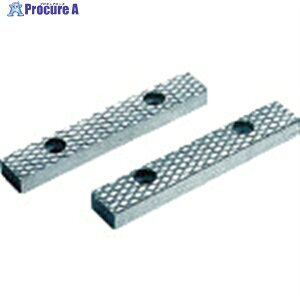 TRUSCO AvCgoCX(͌^) 100mmp(21g) SRV100K 1g 416-2609