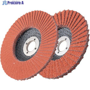 AC X[p[Z~bNfBXN 100X15(16) #60 SPCD10015-60 10 470-5548