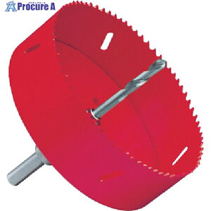 �~���i�K S-LOCK�v���}�X���E�Z�b�g��170 SLPM170ST 1�{ ��487-2045