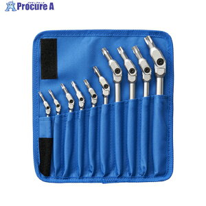 BONDHUS �w�b�N�X���[�u�����` HEX PRO �s�{�b�g�w�b�h �g���N�X�����`�Z�b�g 10�{�g(T15-T55) No.00022 SP10-IC-22 1S ��495-8268