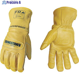 YOUNGST v FREH[^[v[tU[ Pu[(R) L 11-3285-60-L 1o 114-6944