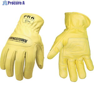 YOUNGST v FROEhO[u Pu[(R) L 12-3365-60-L 1o 114-6960