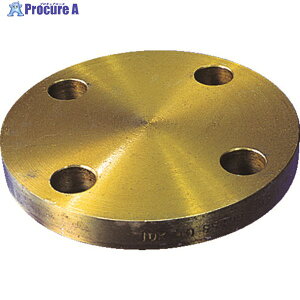 ISHIGURO �� �~�t�����W BL-FF�^ SS400���� 10K �Ăьa(A)15 10BL-F15A 1�� ��160-6760