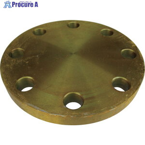 ISHIGURO �� �~�t�����W BL-FF�^ SS400���� 10K �Ăьa(A)100 10BL-F100A 1�� ��160-6841