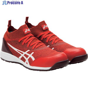 ASICS EBWu CP213 TS t@CA[bh×zCg 30.0cm 1271A052.600-30.0 1 250-2073
