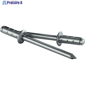 GESIPA �l�ߑւ��p���x�b�g PolyGrip[[R��]] �A���~/�X�`�[���� 50�{���� ��4.8mm×10mm 1433850 1�� ��257-8140