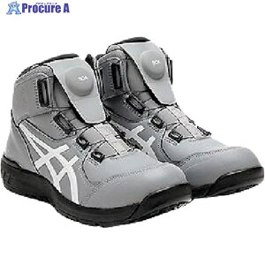ASICS EBWuCP304 BOA V[gbN×zCg 25.0cm 1271A030.021-25.0 1 360-8028