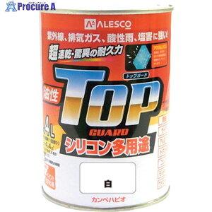 KANSAI Jy gbvK[h0.4L 00017640011004 1 365-1991