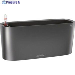 Lechuza ʋv^[ f^10 ye2L `R[ 15467 1 369-1025