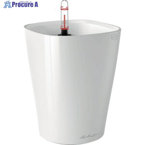 Lechuza ʋv^[ feB[j ye1.2L zCg 14900 1 369-2504