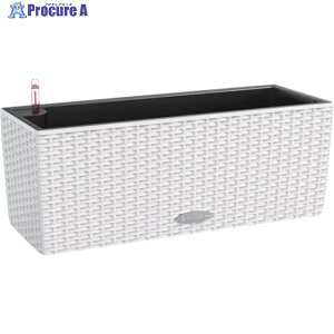 Lechuza ʋv^[ oRl Re[W zCg 15600 1 369-2516