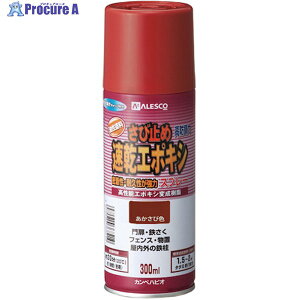 KANSAI G|LVю~߃Xv[ 300ML  00707645242300 1{ 398-0511