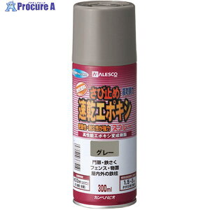 KANSAI G|LVю~߃Xv[ 300ML O[ 00707645092300 1{ 398-0529