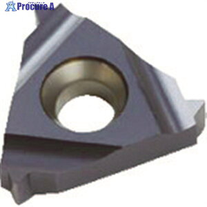 NOGA Carmex�˂��؂�p�`�b�v �d�グ�n�Ȃ� 11×0.5-1.5 48-16�R×60° 11ERA60BMA 10�� ��403-3965