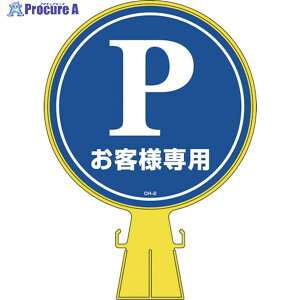 Ώ\ R[wbhW Pqlp(ԏ) CH-2 426×300mm PE 119002 1 814-9331