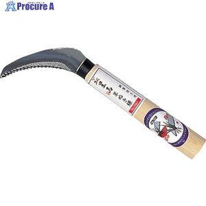 GS n  1561 1{ 868-2153yϕsz