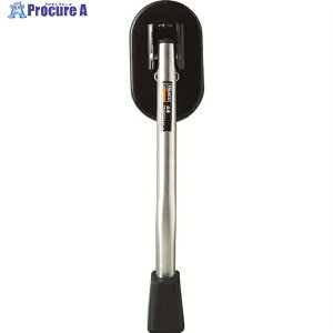 TRUSCO hAXgbp[ }OlbgE̓^Cv 61×250 TDMDP151-1 1 356-5238