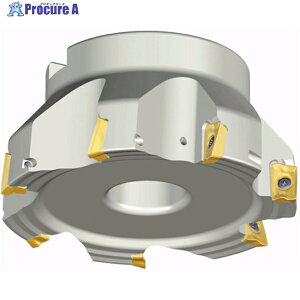 TAEGUTEC �~�[�����O�J�b�^�[ �`�F�C�X�~�� TFM90AP 6100-31.75R-17-B 1�{ ��439-8508