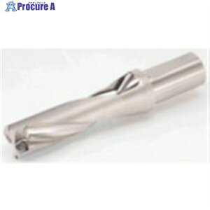 �^���K���C �^���O�h�����c�C�X�e�b�h TDX-W(L/D��3) TDX510W40-3 1�{ ��700-2106�y������ϕs�z ��MA515