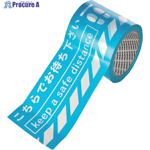 TRUSCO WCe[vuł҂v(100mmE\[VfBX^Xp) TPSD-10025 1 261-0514