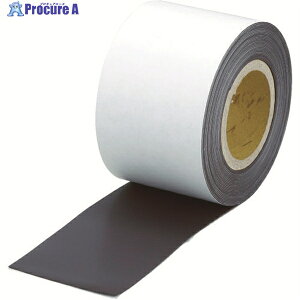 TRUSCO }Olbg[ ̂t t1.0mmX100mmX10m TMGN1-100-10 1 415-8415