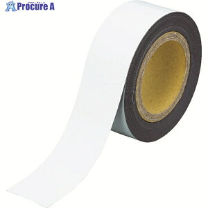 TRUSCO yؔpԁz}Olbg˃V[g Vo[ 50mmX10m TMGH-510SV 1 477-9541