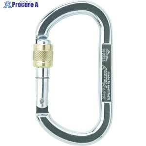 ALPIN �J���r�i OVAL ASYMM XL �X�N�����[���b�N ���a13.5 �V���o�[ TP11AK 1�� ��767-2161