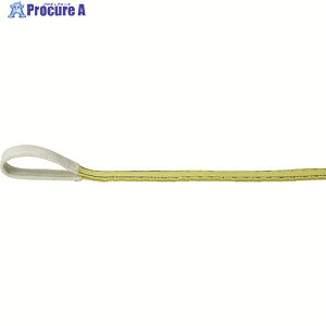 TRUSCO |GXeXO [AC` 25mmX0.5m TPS25-05 1{ 768-1569