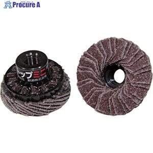 ���i�Z TOP�~�j�f�B�X�N 30xM7xP0.75 #120 TOP30A7 5�� ��812-6739