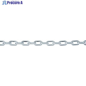 TRUSCO �y���ؔp�ԁz�v���`�F�[�� �V���o�[ 6mmX6m TPCB6-6SV 1�{ ��819-5281