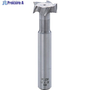 FKD T�X���b�g�G���h�~��30×10 TSE30X10 1�{ ��261-4740