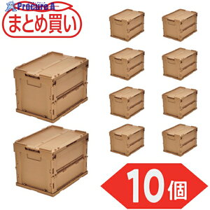 TRUSCO y܂ƂߔzIR ܂肽݃Rei t^t 20L LSF 10 TR-SC20-LS-10P 1S 591-9074