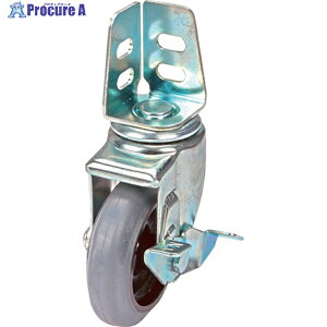 TRUSCO �A���O�����O���[�S���L���X�^�[ ����S�t ��100 TYSA-100NRPS-G 1�� ��362-9105