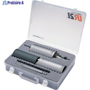 UNIKA UR21 NAP[XZbg VFD SDSVN UR21-VFD065NSD 1S 609-5880