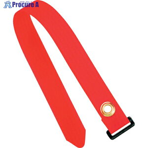 PANDUIT �E���g���V���` UGCTC�V���[�Y �� (10�{��) UGCTC3S-X2 1�� ��818-0578