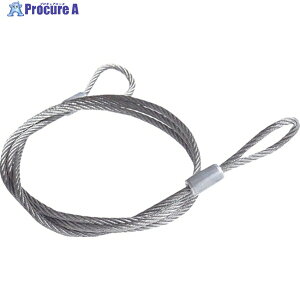 jbT`FC XeXJbgC[ A~JV 3.0X1200mm (1{1PK) Y-52 1{ 134-5838