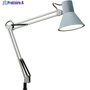 Rc LEDfXNCg Z-108N-GY 1 201-3699