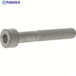 TRUSCO �y���ؔp�ԁz���x�敪14.9�����x�Z�p���t�{���g �f���^�v���e�N�g ���l�W M10×45 2�{�� /�L���b�v�{���g(CAP) Y149D-1045 1�p�b�N ��206-3947