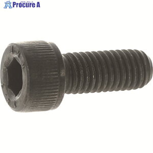TRUSCO 14.9�����x�Z�p���t�{���g �X�`�[�����n �S�l�W M12×45 3�{�� /�L���b�v�{���g(CAP) Y149-1245 1�p�b�N ��206-3970